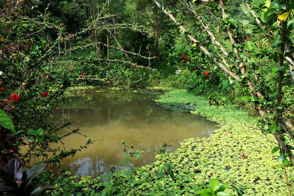 Hillside - Nature Lifestyle Lodge Luang Prabang Dış mekan fotoğraf